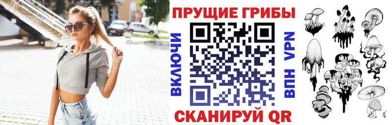 Псилоцибиновые грибы ЛСД  Купить закладки  Мураши 